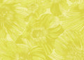 Missoni Home 5 Koleksiyonu Anemoni Duvar Kağıdı
