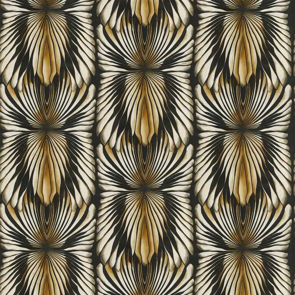 Roberto Cavalli 8 Nolu Koleksiyon Kahve Gold